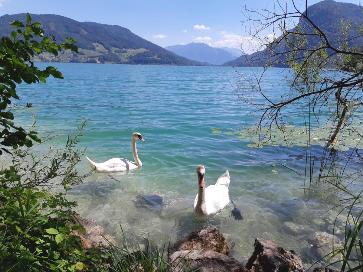 Apartment Am Wolfgangsee Штробль Екстер'єр фото