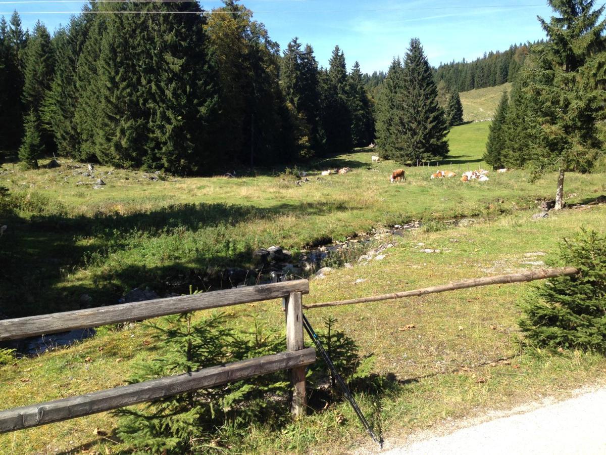 Apartment Am Wolfgangsee Штробль Екстер'єр фото